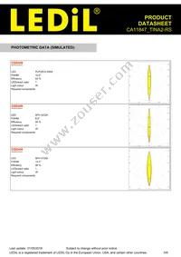 CA11847_TINA2-RS Datasheet Page 5