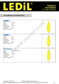 CA11848_TINA2-M Datasheet Page 4