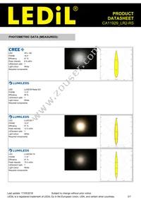 CA11929_LR2-RS Datasheet Page 3