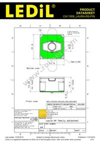 CA11959_LAURA-RS-PIN Datasheet Page 2