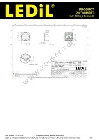 CA11973_LAURA-O Datasheet Page 2