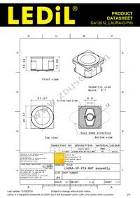 CA12012_LAURA-O-PIN Datasheet Page 2