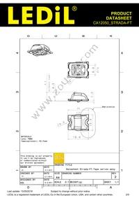 CA12050_STRADA-FT Datasheet Page 2