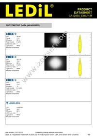 CA12064_EMILY-M Datasheet Page 4