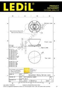 CA12066_EMILY-O Datasheet Page 2