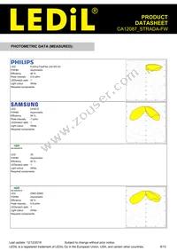 CA12087_STRADA-FW Datasheet Page 8