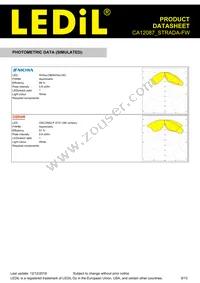 CA12087_STRADA-FW Datasheet Page 9