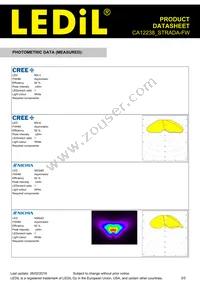 CA12238_STRADA-FW Datasheet Page 3