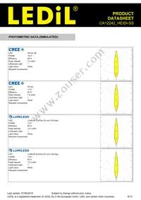 CA12242_HEIDI-SS Datasheet Page 8