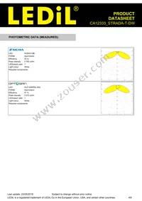 CA12333_STRADA-T-DW Datasheet Page 4