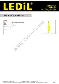 CA12346_TINA2-RS Datasheet Page 3