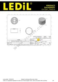 CA12347_TINA2-D Datasheet Page 2