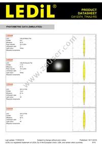 CA12374_TINA2-RS Datasheet Page 8