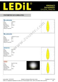 CA12376_TINA2-SS Datasheet Page 6