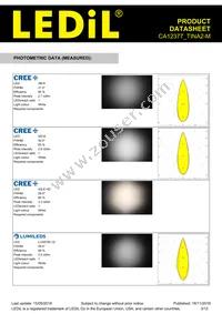 CA12377_TINA2-M Datasheet Page 3