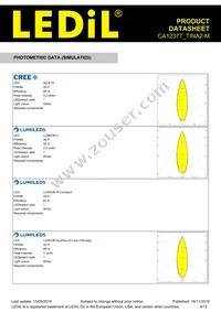 CA12377_TINA2-M Datasheet Page 8
