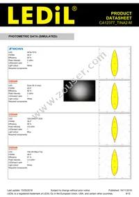 CA12377_TINA2-M Datasheet Page 9