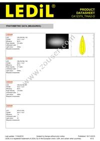 CA12379_TINA2-O Datasheet Page 6