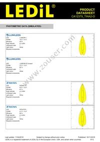 CA12379_TINA2-O Datasheet Page 8