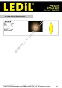 CA12401_TINA2-M Datasheet Page 3