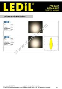 CA12503_MIRA-M Datasheet Page 3
