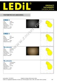 CA12514_RITA-A Datasheet Page 4