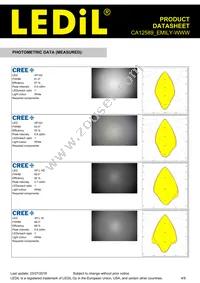 CA12589_EMILY-WWW Datasheet Page 4