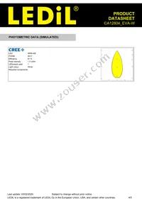 CA12804_EVA-W Datasheet Page 4