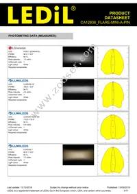 CA12838_FLARE-MINI-A-PIN Datasheet Page 5