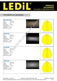 CA12838_FLARE-MINI-A-PIN Datasheet Page 6