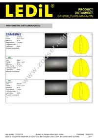 CA12838_FLARE-MINI-A-PIN Datasheet Page 8