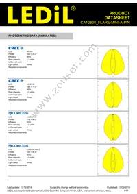 CA12838_FLARE-MINI-A-PIN Datasheet Page 9
