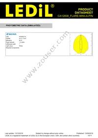 CA12838_FLARE-MINI-A-PIN Datasheet Page 10