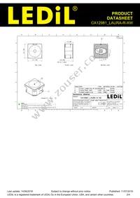 CA12981_LAURA-R-XW Datasheet Page 2