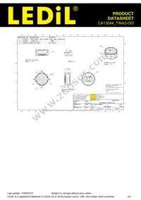 CA13044_TINA3-OO Datasheet Page 2