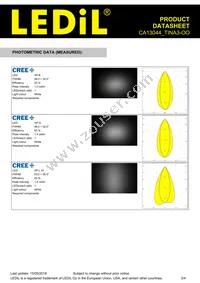 CA13044_TINA3-OO Datasheet Page 3