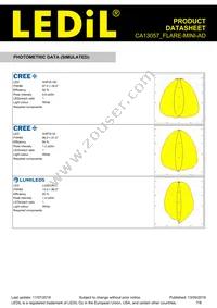 CA13057_FLARE-MINI-AD Datasheet Page 7
