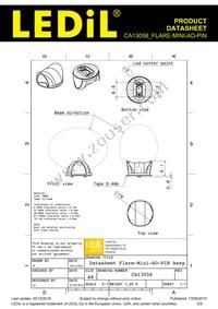 CA13058_FLARE-MINI-AD-PIN Datasheet Page 2