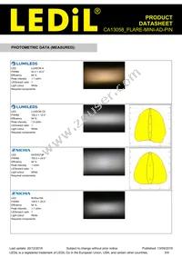 CA13058_FLARE-MINI-AD-PIN Datasheet Page 5