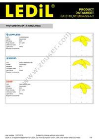 CA13119_STRADA-SQ-A-T Datasheet Page 7