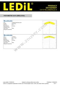 CA13156_EMERALD-A Datasheet Page 10