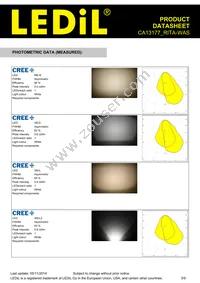 CA13177_RITA-WAS Datasheet Page 3