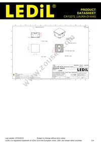 CA13272_LAURA-O-WAS Datasheet Page 2