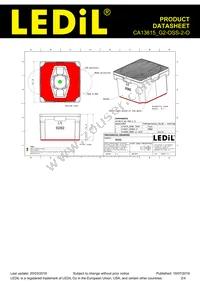 CA13615_G2-OSS-2-O Datasheet Page 2