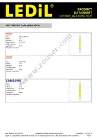 CA13628_G2-LAURA-RS-P Datasheet Page 10