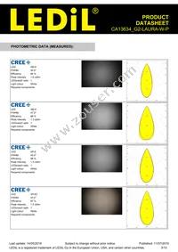 CA13634_G2-LAURA-W-P Datasheet Page 3