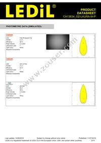 CA13634_G2-LAURA-W-P Datasheet Page 9