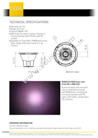 CA13949_REBECCA-RGB Datasheet Page 2