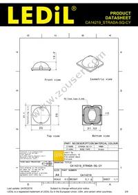 CA14219_STRADA-SQ-CY Datasheet Page 2