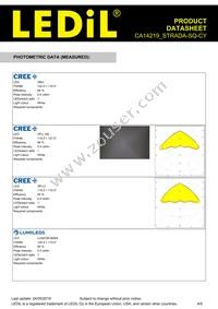 CA14219_STRADA-SQ-CY Datasheet Page 4